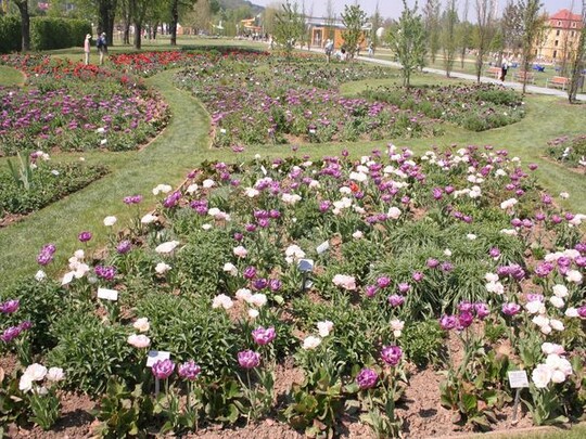 Die Flchenanlage der Saisonbepflanzung lsst keine Langeweile aufkommen und wertet den Hofwiesenpark enorm auf.