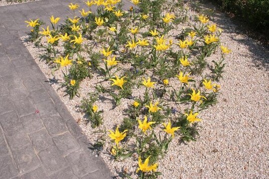 Garten von Geras Partnerstadt Rostow am Don in Russland. Rostow, das "Tor zum Kaukasus", zhlt ber eine Million Einwohner und ist die grte Stadt Sdrusslands.