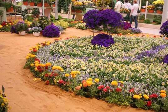 "Die groe Erffnungsschau" in der Blumenhalle