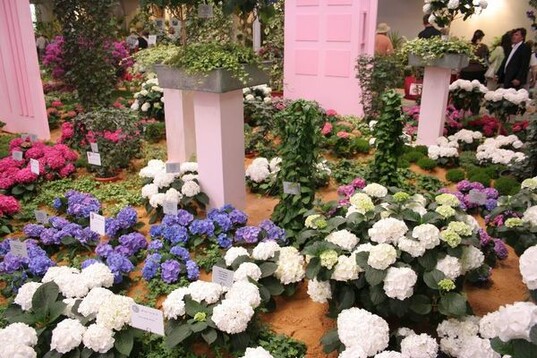 "Die groe Erffnungsschau" in der Blumenhalle