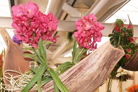 "Die groe Erffnungsschau" in der Blumenhalle