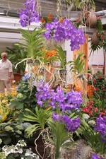 "Die große Eröffnungsschau" in der Blumenhalle