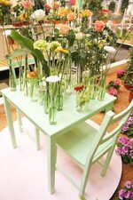 "Die große Eröffnungsschau" in der Blumenhalle