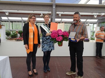 Werner M. Busch wurde fr seine Schaupflanzen mit der Groen Goldmedaille der DBG fr eine besonders groe Vielfalt, in einem auergewhnlich guten Pflegezustand (Mochikoni) ausgezeichnet. 