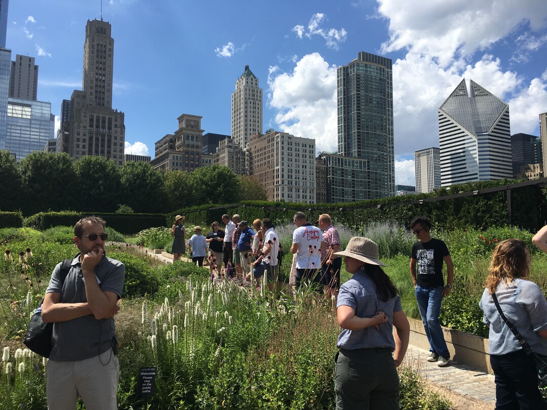 Auergewhnliche Staudenpflanzungen im Lurie-Garten.