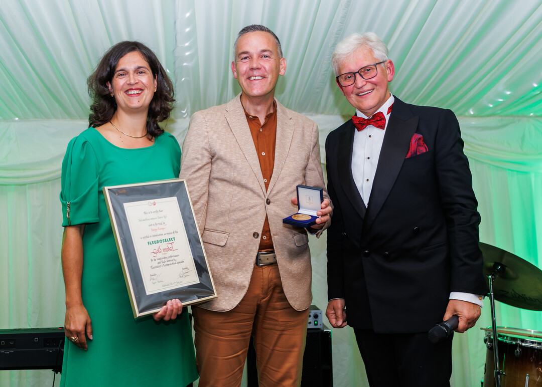Zchter von Burpee Europe, wurde fr Helianthus annuus Desire Red ebenfalls mit der Goldmedaille ausgezeichnet.