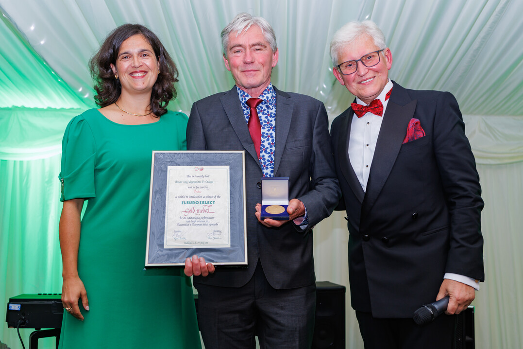 Ard Ammerlaan von Prudac erhielt die Medaille fr Lycopersicon esculentum Tiny Temptations F1 Orange und Henk van der Velde.