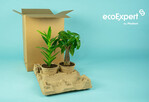 Modiform führt mit der Online-Verpackung eine neue Produktkategorie ein, die den nachhaltigen Versand von Topfpflanzen mit optimalem Schutz garantiert.
