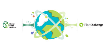 Royal FloraHolland bernimmt die Mehrheit an der Plattform FloraXchange.
