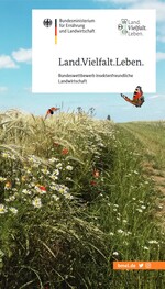 Flyer zum Bundeswettbewerb