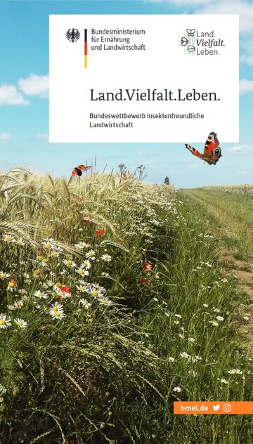  Flyer zum Bundeswettbewerb 