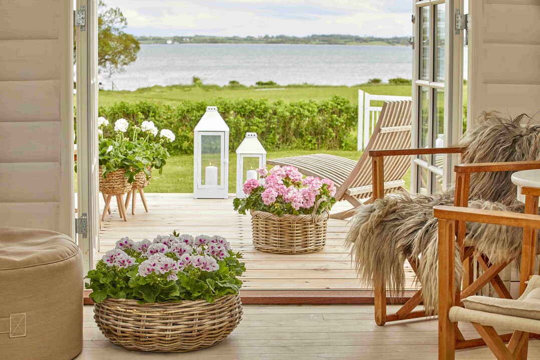 Summer Breeze