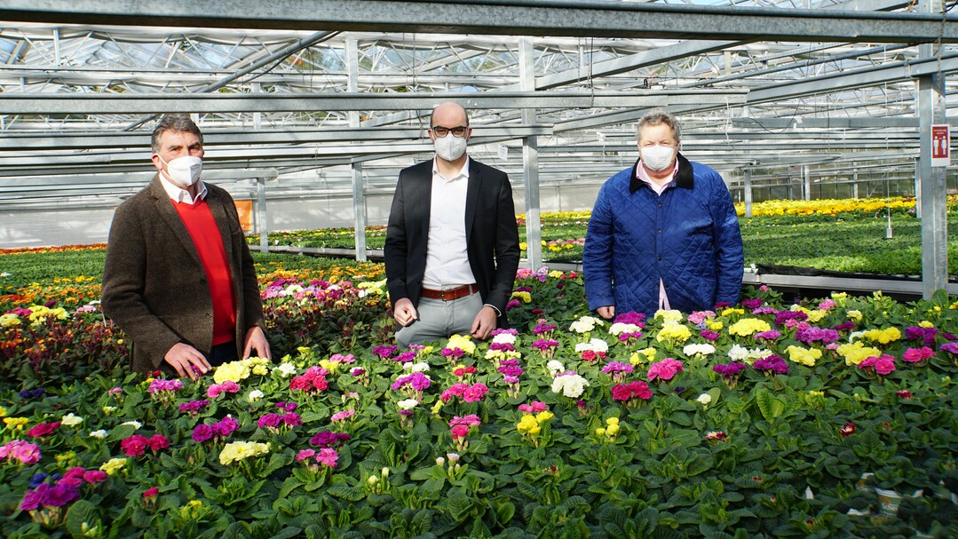 Bundestagsabgeordnete Michael Kießling und Landtagsabgeordnete Alex Dorow, beide CSU, machten sich ein eigenes Bild von der Situation im Gartenbau . Betriebsinhaber Kurt Scherdi informierte über volle Gewächshäuser ohne Kunden und die Schutz-und Hygienekonzepte.