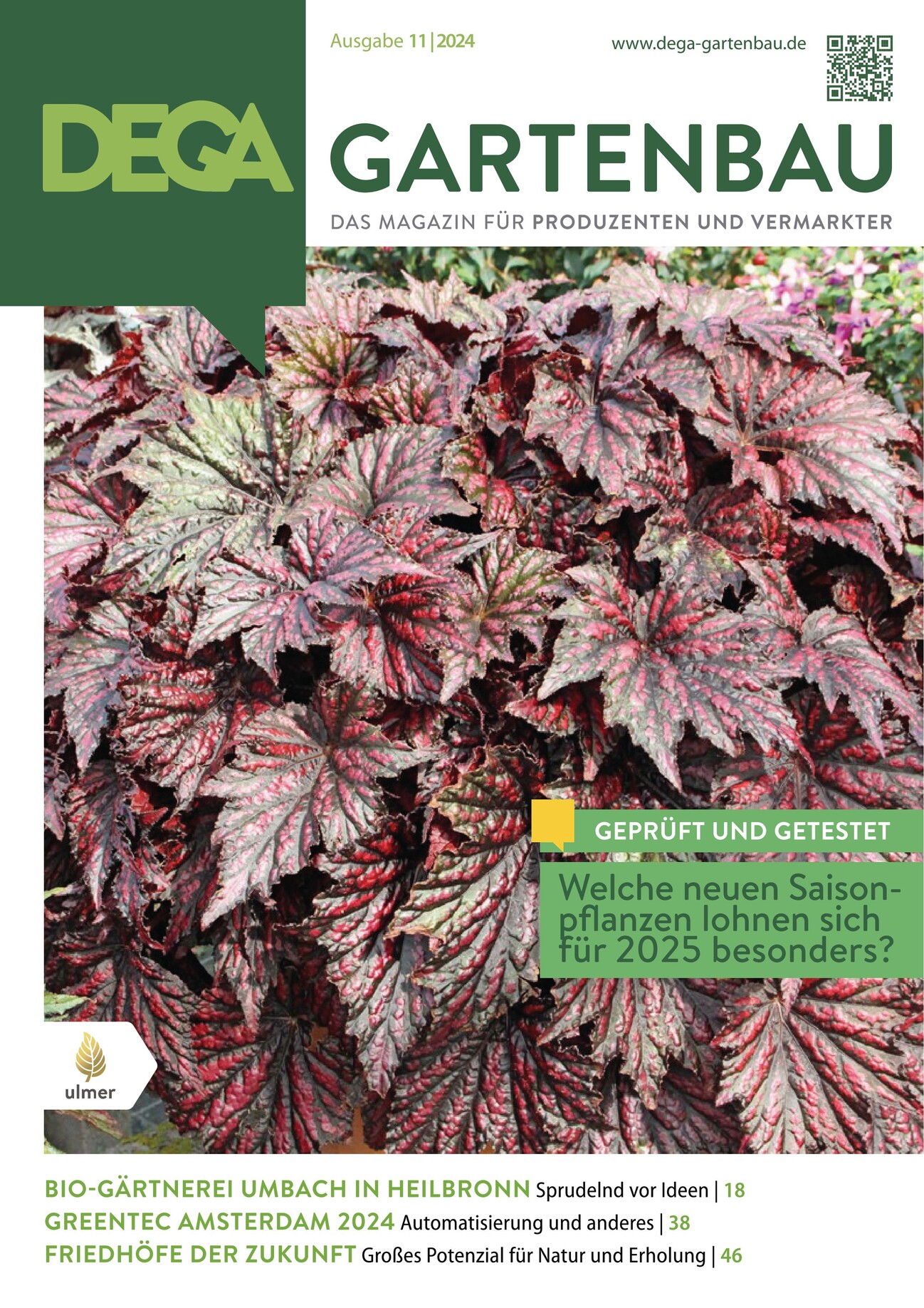 Vergütung für Gärtner und Gärterinnen steigt DEGA GARTENBAU Fachmagazin
