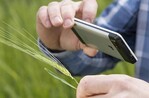 Die Landwirte-Befragung im Rahmen des Konjunkturbarometers zeigt eine Unzufriedenheit mit der Internetversorgung.