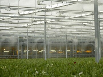 Die Klimasteuerung ist in den meisten Gartenbaubetrieben heutzutage automatisiert und computergesteuert.
