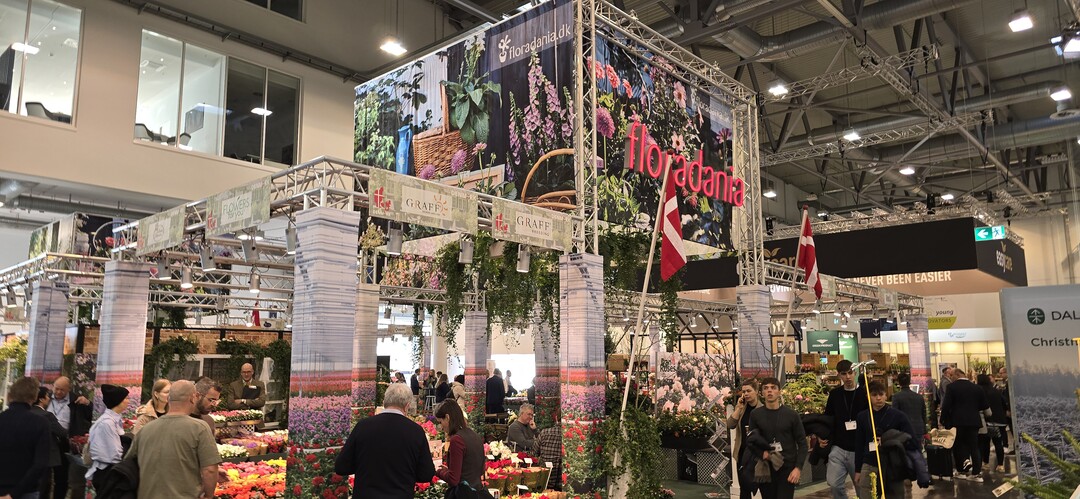 Under the umbrella of the marketing organization Floradania, 16 Danish exhibitors are presenting a wide selection of ornamental plants, Christmas trees and flower bulb products in Hall 6.