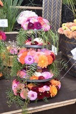 Prunkvoll ging es in den Goldenen Zwanzigern zu – da passt die Dahlie perfekt hin.