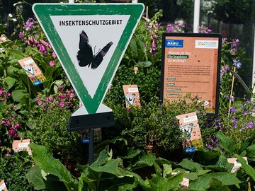 Das vom Bundesamt fr Naturschutz gefrderten Projekt Insektenfreude  mit regionalen Wildpflanzen soll den Erhalt der Artenvielfalt untersttzen. 