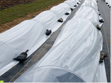 Links Ehmo-Tec-Thermo-Tunnel neben Folientunnel mit dichter PE-Folie nach Aufbau 2013.