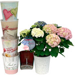 Eigene Designideen sind auch in kleiner Stückzahl umsetzbar.