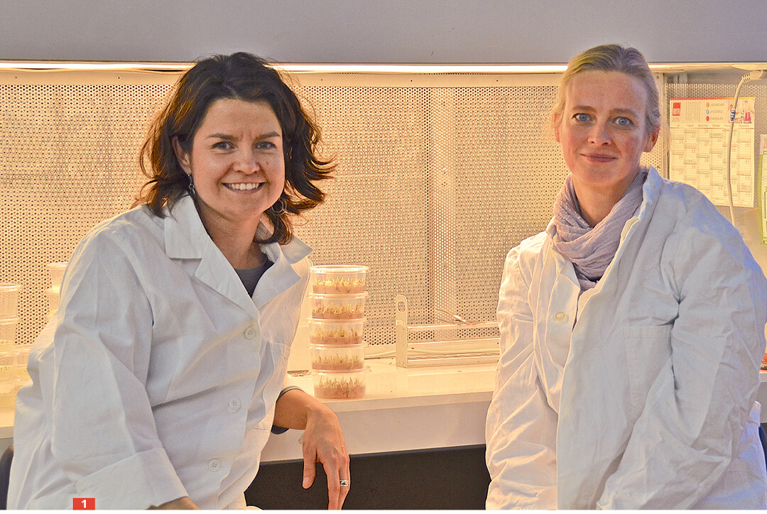 Die Grnderinnen von nextplant: Christina Lange (links) und Simone Brendel.