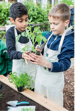 Im kommenden Jahr soll Unser Schulgarten" deutschlandweit angeboten werden.