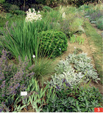 Tipp aus dem Sichtungsgarten Weihenstephan: Trendig sind pflegeleichte und trockenheitsverträgliche Pflanzen. Auf diesem Beet dominieren Yucca, Wollziest und das Riesen-Federgras.