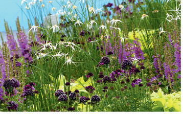 Am Gemeinschaftsstand der Plantregio: Gartenbau Busch & Opgenhoff aus Geldern mit Stauden und Sommerblumen.