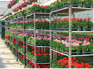Die Produktion in der Grtnersiedlung wchst gemeinsam mit der Gartencenterkette Dehner weiter.