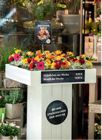 Ob Bloomon, Florismart oder Fleurop die neuen Großhändler müssen mit den Großen der Branche zusammenarbeiten, um gegenüber ihren Kunden eine Produktsicherheit garantieren zu können.