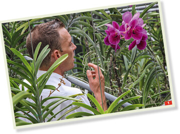 Taiwan ist das Land der Orchideen – und so finden diese im KBCC auch besondere Beachtung.
