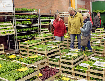 Blumengromrkte und Brsen bieten die groe Mglichkeit, regional einzukaufen. Hier der Stand von Jungpflanzen Schmeuer auf der Norgarflor in Hamburg.