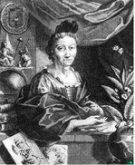 Maria Sibylla Merian um 1700. Kupferstich von Jakob Houbraken nach einem Porträt von Georg Gsell.