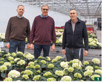 Ein gutes Team (von links): Verkaufsleiter Jürgen Gerdvordermark, Kötterheinrich-Betriebsinhaber Thomas Becker und Agriom-Züchter André Smaal.