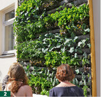 Die Living Wall Systeme" an der Fassade des Alten Forstamtes in Erlangen sind als ungewöhnliche Anbaufläche für Nahrungspflanzen ein Hingucker.