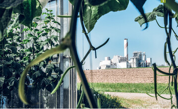 Das Kohlendioxid bei diesem Pilotprojekt in der Schweiz wird direkt zum benachbarten Gartenbaubetrieb geleitet (siehe Kasten Seite 49).