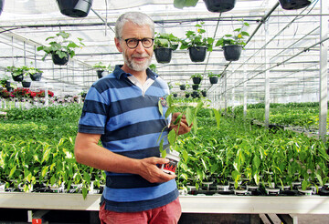 Klaus Umbach beliefert seinen Kunden Pepperworld mit 60 000 Bio-Chili-Pflanzen und -Samen in 120 Sorten.