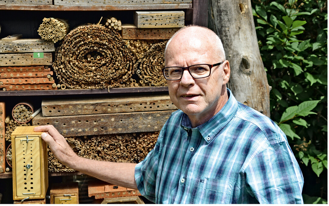 30 % der heimischen Wildbienen kann der Wildbienenexperte Paul Westrich ohne Bestimmungshilfe erkennen. Das sind rund 170 Arten.