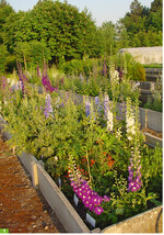 Blick auf die Versuchsanlage.