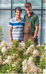 Margit und Stefan Kücken verzeichneten eine gute Nachfrage nach der Schnitthortensie Lime Green.
