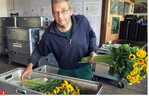 Dirk Scheel hat sich auf Schnittsonnenblumen spezialisiert, die direkt nach dem Schnitt in Alukisten in den Kühlraum gelangen und später gebündelt werden.