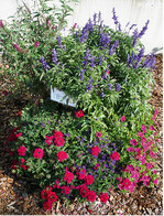 Verwandte Seelen" heißt diese Kombinationspflanzung in Anlehnung an den Color Report" von Pantone.