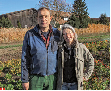 Maria und Franz Ell produzieren Stauden mitten im Gemsebaugebiet Knoblauchsland.