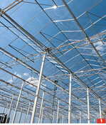 Der holländische Spezialist Debets-Schalke baute die 1 ha große Gewächshausanlage. Die Venlo-Konstruktion beeindruckt mit ihrer Höhe von 8 m.