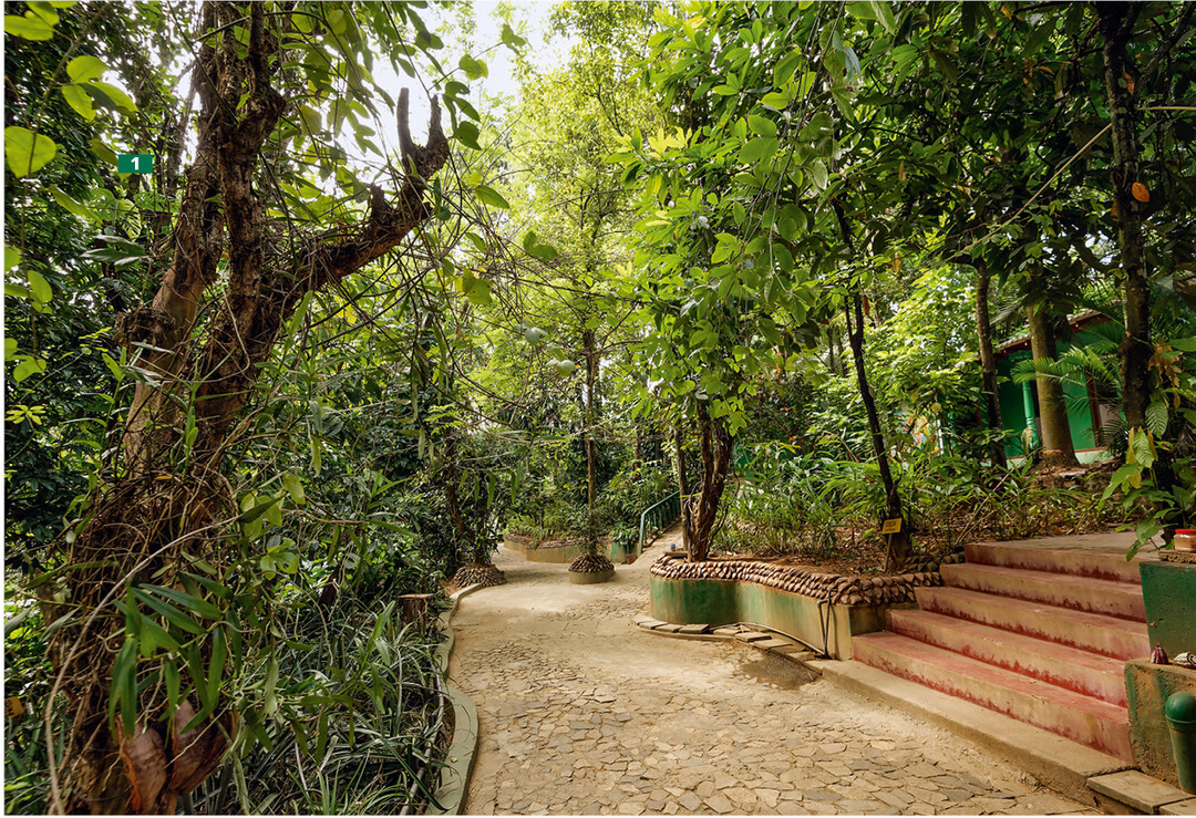 Krutergarten und Ayurveda haben auf Sri Lanka eine lange Tradition.