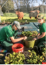 Die Azubis André und Michal beim Jäten