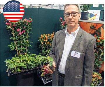 Jerome O’Neill exportiert <em>Bougainvillea </em>und <em>Hibiscus </em>in die EU.