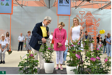 Modern Art ist das neueste Kind von Rosen Tantau und wurde nun von Professor Dr. Hans-Peter Mhlbach (von links), Geschftsfhrender Vorstand Gesellschaft Deutscher Rosenfreunde, Heilbronns Brgermeisterin Agnes Christner und Miriam Busch von Rosen Tantau getauft.