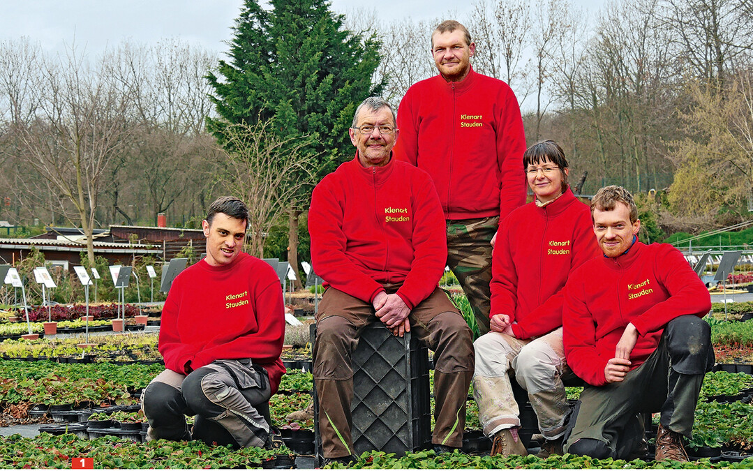 Das Staudenteam, von links: Julius Wöllner, Gerd Frobenius, Pascal Klenart, Nicole Sawade und Georg Schwuntek